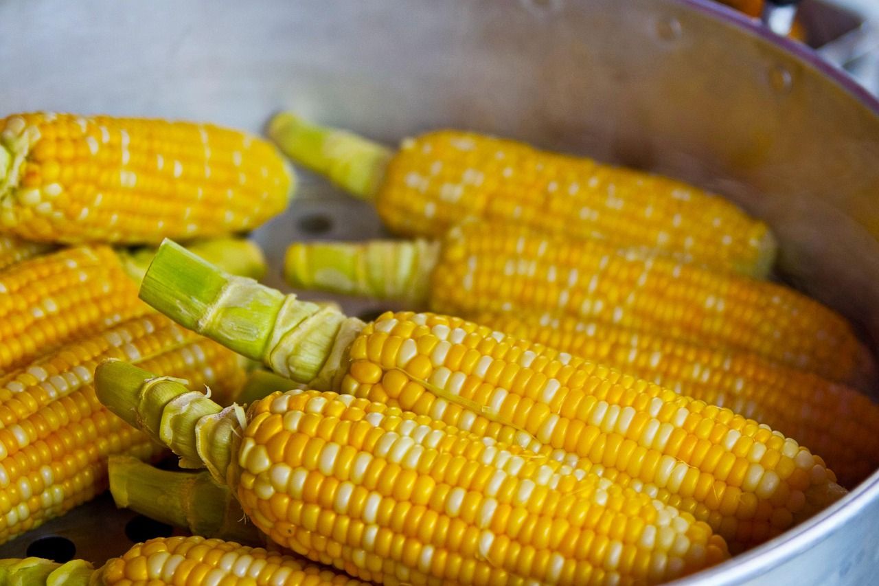 entlarven sie gängige ernährungsmythen! erfahren sie, was wirklich hinter verbreiteten ernährungsaussagen steckt und bringen sie mehr klarheit in ihren speiseplan.
