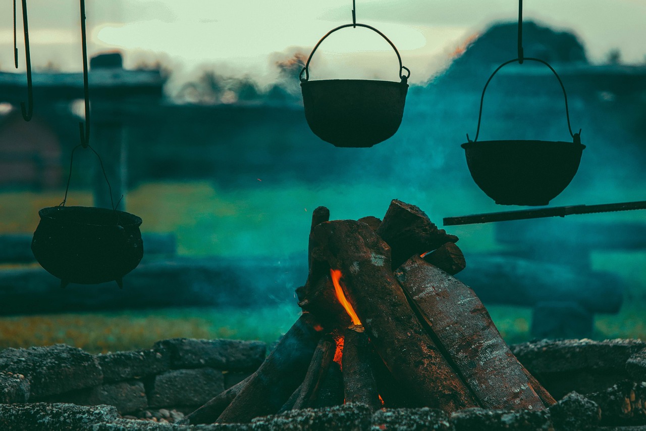 Wie kann man klimafreundlich kochen?