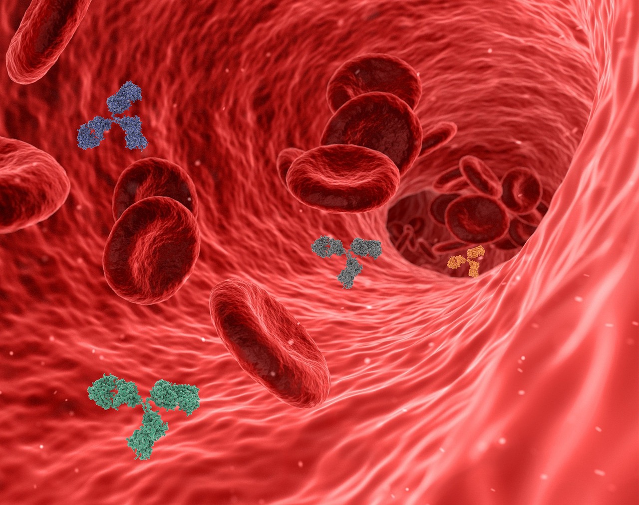 erfahren sie alles über das immunsystem: funktionen, aufbau und wie sie ihre abwehrkräfte stärken können. tipps zur unterstützung eines gesunden immunsystems finden sie hier!
