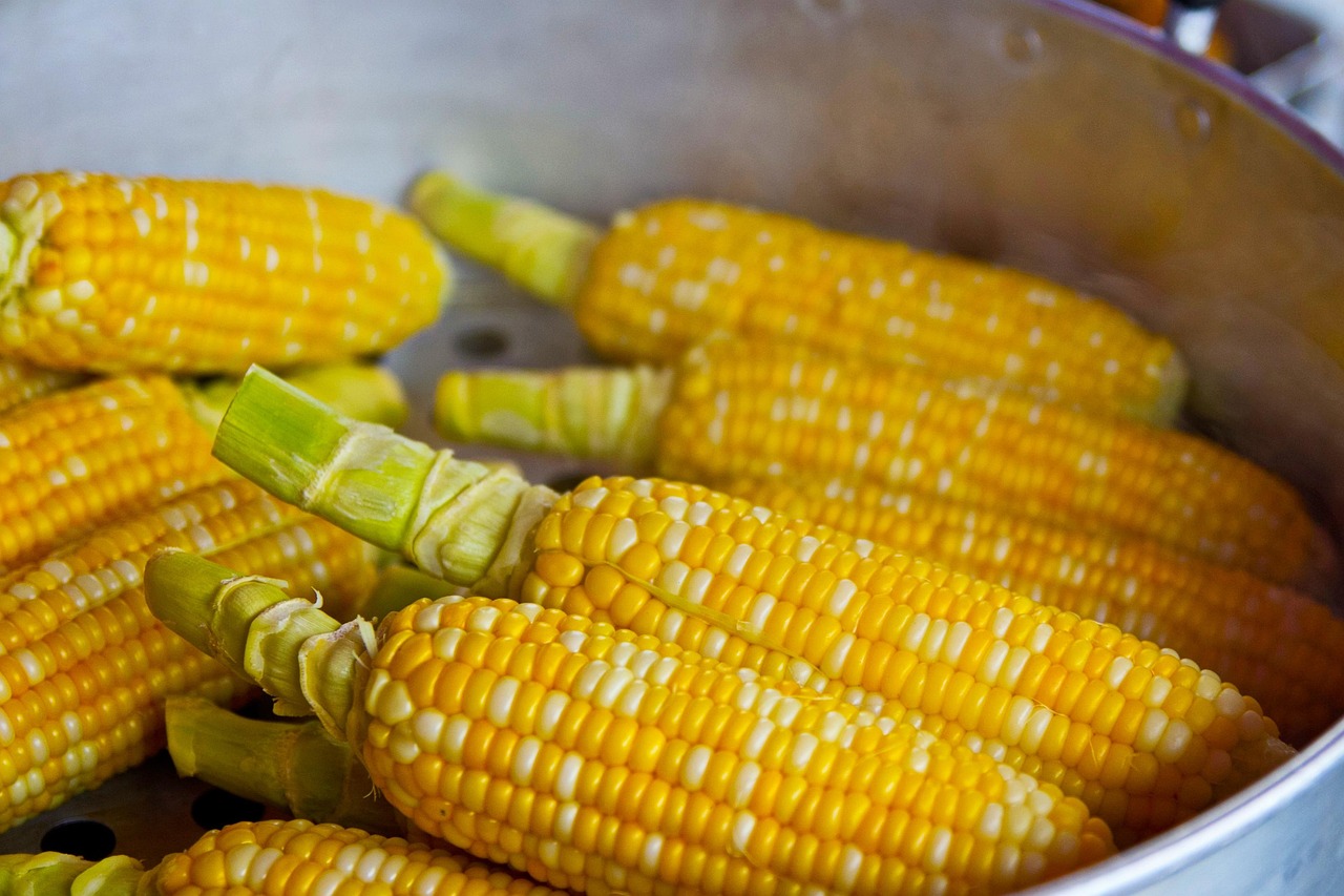 entlarven sie gängige ernährungsmythen! erfahren sie, was wirklich hinter verbreiteten ernährungsaussagen steckt und bringen sie mehr klarheit in ihren speiseplan.