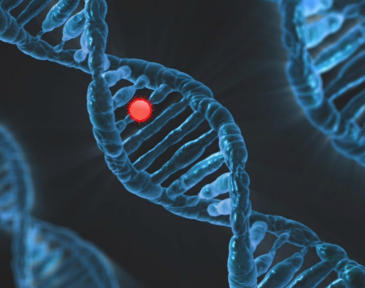 entdecken sie personalisierte medizin: innovative ansätze für individuelle therapien, maßgeschneiderte behandlungen und bessere gesundheitsergebnisse dank moderner diagnostik und genomforschung.